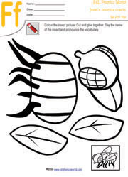 fly-insect-craft-worksheet